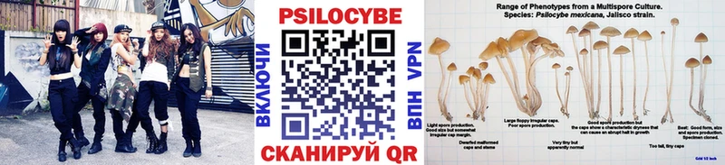 блэк спрут маркетплейс  где можно купить наркотик  Томск  Галлюциногенные грибы Psilocybe 
