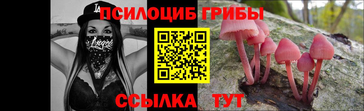 Галлюциногенные грибы мицелий Томск